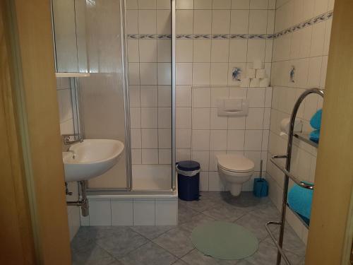 a bathroom with a shower and a sink and a toilet at Der Perweinhof in Donnersbachwald