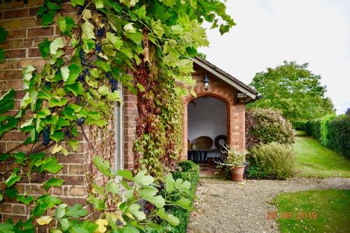a brick house with a window and ivy at White Hall Farm in Leamington Spa
