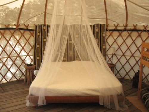 Giường trong phòng chung tại Camping Mille Étoiles