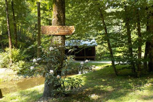 The Hemlock Hide Away – Photos 3