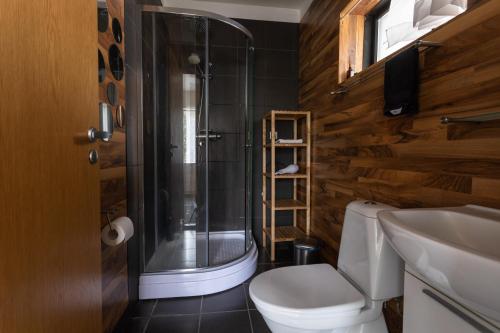 y baño con ducha, aseo y lavamanos. en Guesthouse Dalbaer en Fludir