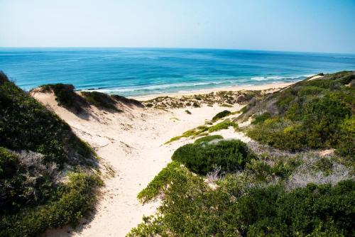 Imagen de la galería de Golden Palms Beach Resort Inhambane Bay Mozambique, en Cabo Guinjata