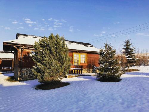 a log cabin with two trees in the snow at Chata 107 Tatralandia Village in Liptovský Mikuláš
