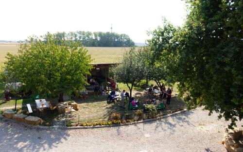 a group of people sitting in a park with trees at La Selce Farmhouse in Bagnaria Arsa