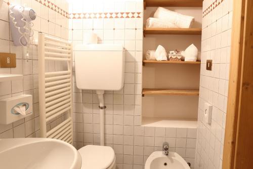 a small bathroom with a toilet and a sink at Baita Luleta in Livigno