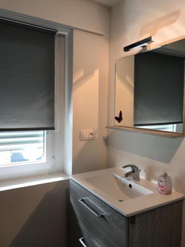 une salle de bain avec un lavabo, un miroir et une fenêtre dans l'établissement Joli Studio A Euroairport-BASEL-MULHOUSE-FREIBURG, à Saint-Louis