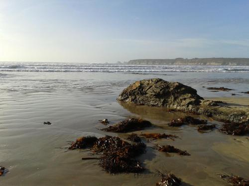 a beach with a large rock in the water at Gite d'artiste 50m de la mer in Camaret-sur-Mer