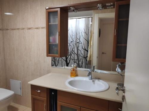 een badkamer met een wastafel, een toilet en een spiegel bij SUITEDREAMS - Pollancre 61 in Andorra la Vella
