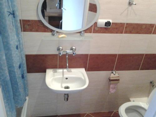 a bathroom with a sink and a mirror and a toilet at Hotel Skarpa in Sejny
