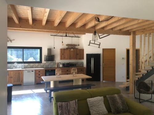 Il comprend une cuisine et un salon avec un canapé vert. dans l'établissement Villa Marcassin, à Boulc