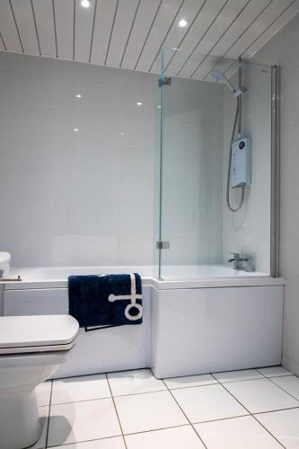 a bathroom with a shower and a tub and a toilet at Sandy bottoms in Llandudno