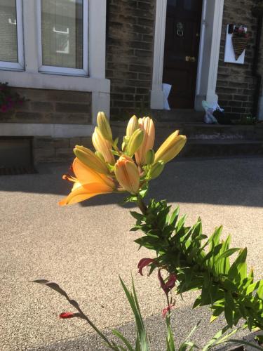 Gambar di galeri bagi Highfield Guesthouse di Skipton