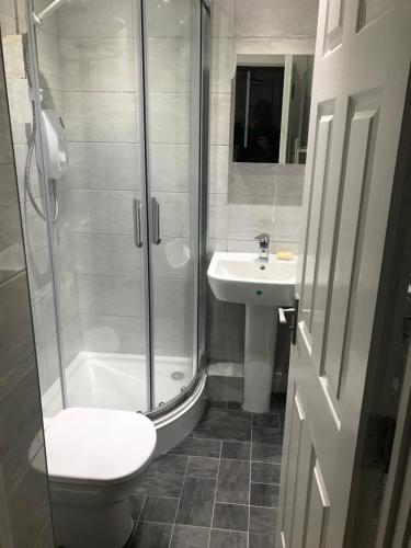 a bathroom with a shower and a toilet and a sink at 1 Lisburne House in Aberystwyth