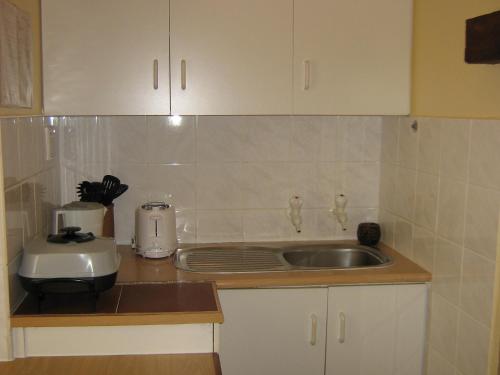 a kitchen with a sink and a mixer on a counter at Baviana Beach Lodge - Jacobsbaai - Jacobs Bay in Jacobs Bay
