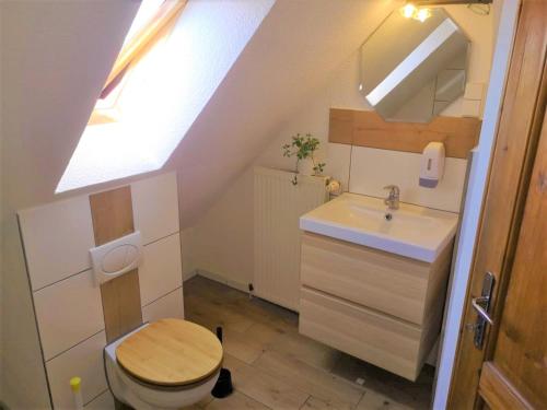 ヴォルフスブルクにあるPension Riedelの小さなバスルーム(トイレ、シンク付)