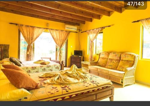 a yellow bedroom with two beds and a couch at Linsen Selfcatering Apartments in La Digue