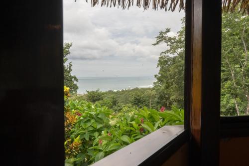 a view of a garden from a window at Hotel Vista de Olas in Santa Teresa Beach