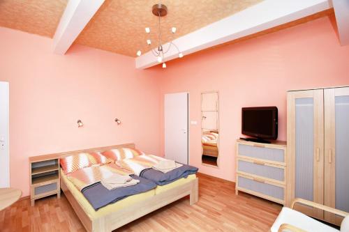 a bedroom with a bed and a tv at Ubytování v Brně - Schodová in Brno