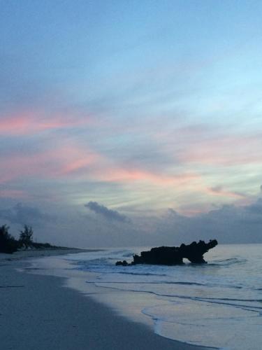 Gallery image of A Rocha Eco-Lodge & Conservation Centre in Watamu