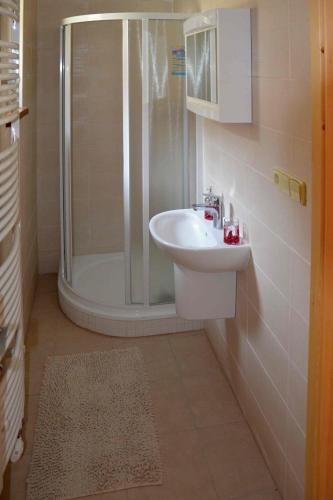 a bathroom with a sink and a shower at Apartmány Na Stráži in Česká Skalice