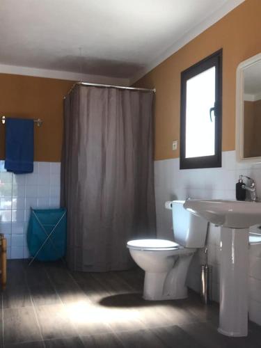 a bathroom with a toilet and a shower and a sink at Paredejas del Rey in Priego de Córdoba