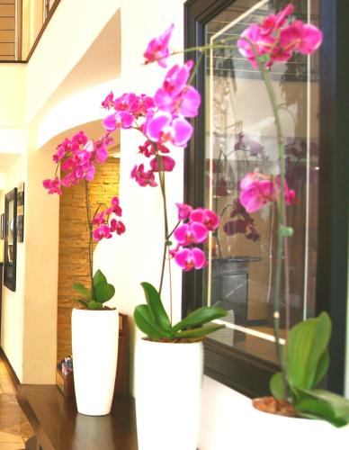 Gambar di galeri bagi Premier Hotel Pretoria di Pretoria