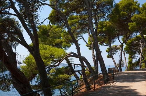 a walkway along the beach with trees and water at Remisens Hotel Albatros-All inclusive in Cavtat