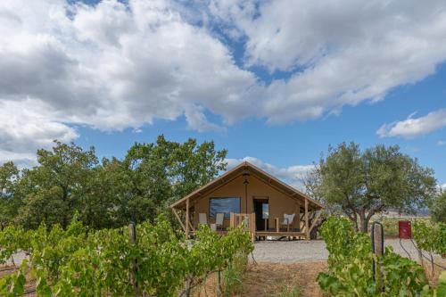 a cabin in the middle of a vineyard at Castello di Serragiumenta in Firmo