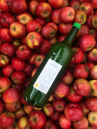 a bottle of wine sitting on top of a pile of apples at Sonnenhof in Limbach im Burgenland
