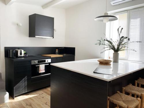 une cuisine avec des armoires noires et un comptoir blanc dans l'établissement La Magnanerie, à LʼIsle-sur-la-Sorgue