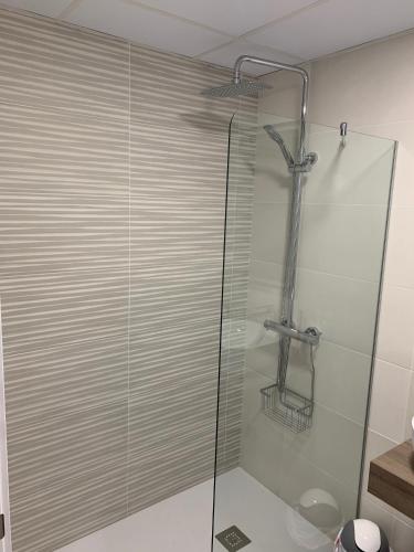 a shower with a glass door in a bathroom at Apartamentos Mequedo in Alcañiz