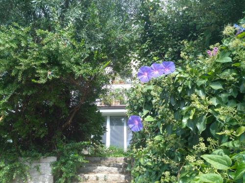 a bush with purple flowers in front of a house at La Vignaredda - Residenza di Charme in Aggius