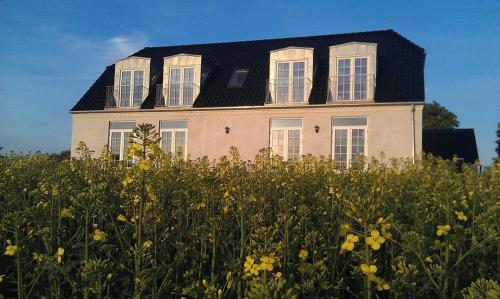 Un jardín fuera de Roskilde B&B