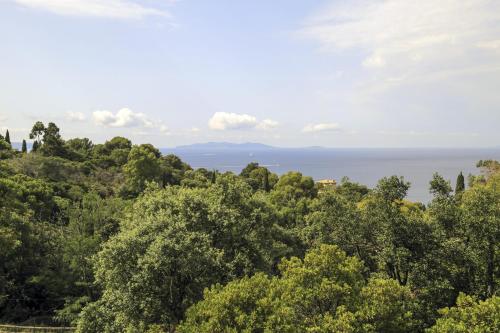 - une vue sur l'océan depuis une colline arborée dans l'établissement Villa l'Escapade, à Rayol-Canadel-sur-Mer