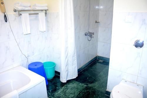 a bathroom with a shower and a sink and a toilet at The Royal Residency in Bodh Gaya