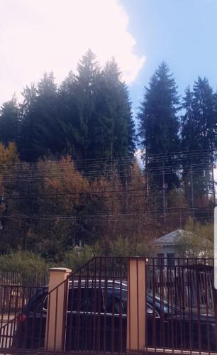 Gambar di galeri bagi Casa Lupascu di Vatra Dornei