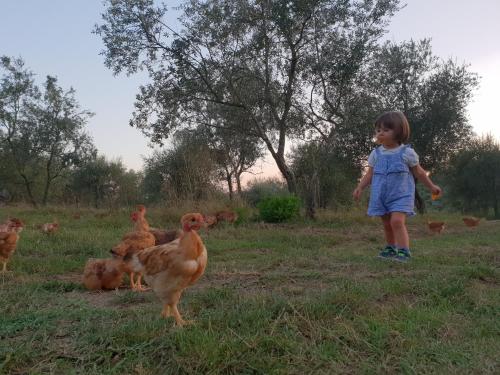 Kanak-kanak yang menginap di Fattoria di Maiano