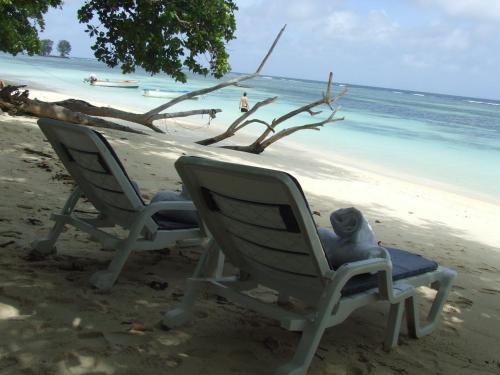a stuffed animal sitting in a chair on a beach at Le Relax Self Catering Apartment in La Digue
