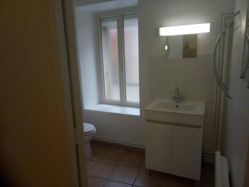 a bathroom with a toilet and a sink and a window at studio les solivettes in Châtillon-Coligny