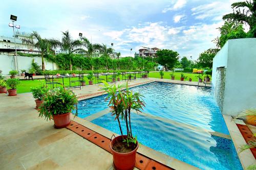 a swimming pool with potted plants on a patio at V One Pride in Jaipur