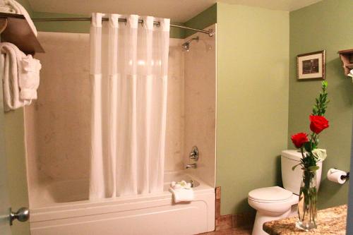 a bathroom with a shower with a tub and a toilet at The Historic Brookstown Inn, Trademark Collection by Wyndham in Winston-Salem