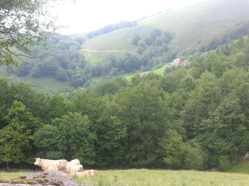 two cows standing in a grassy hill with trees at CASA RURAL Urruska in Elizondo