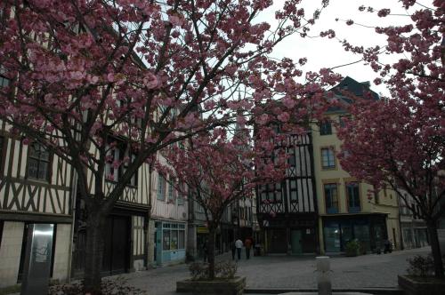Rouen Quartier St Maclou