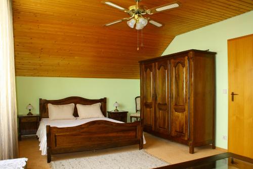 a bedroom with a bed and a ceiling fan at Ferienwohnung Luise in Trossingen