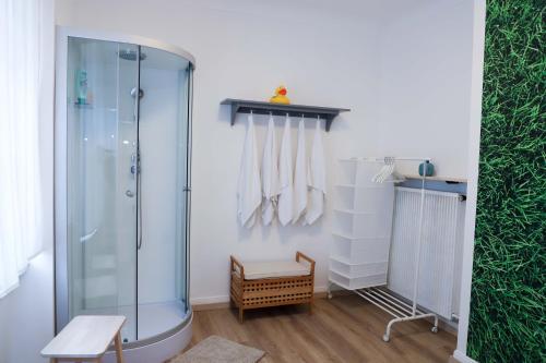 a bathroom with a glass shower and a wooden floor at The garden flat in Luxembourg