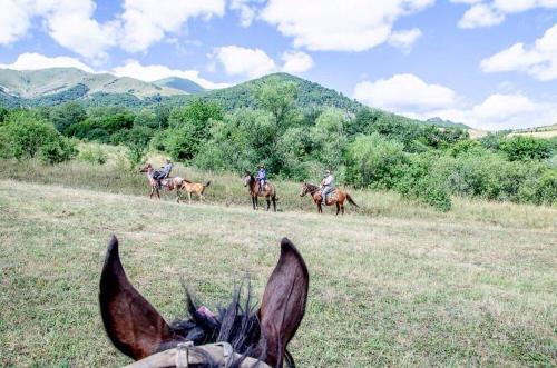 a group of people riding horses in a field at Geologist's House in Garrgarr