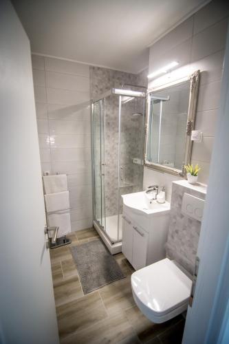 a bathroom with a shower and a toilet and a sink at Sky in Slavonski Brod
