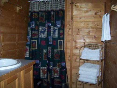 y baño con cortina de ducha y lavamanos. en Box Canyon Cabins, en Seward