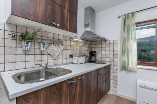 Kuchyň nebo kuchyňský kout v ubytování Villa Holiday home Zvecanje