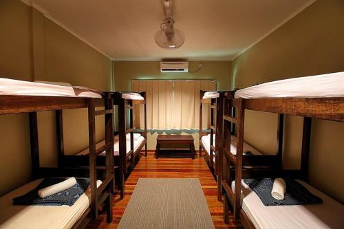 a room with two bunk beds and a window at Nature Lodge Sepilok in Sepilok